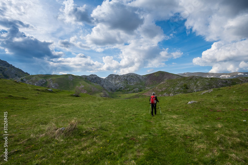 A man walks across a mountain meadow.
