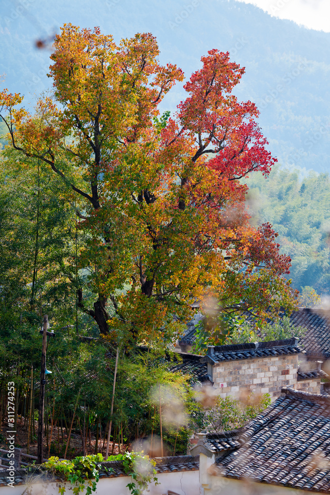 Obraz premium Tachuan village autumn landscape.