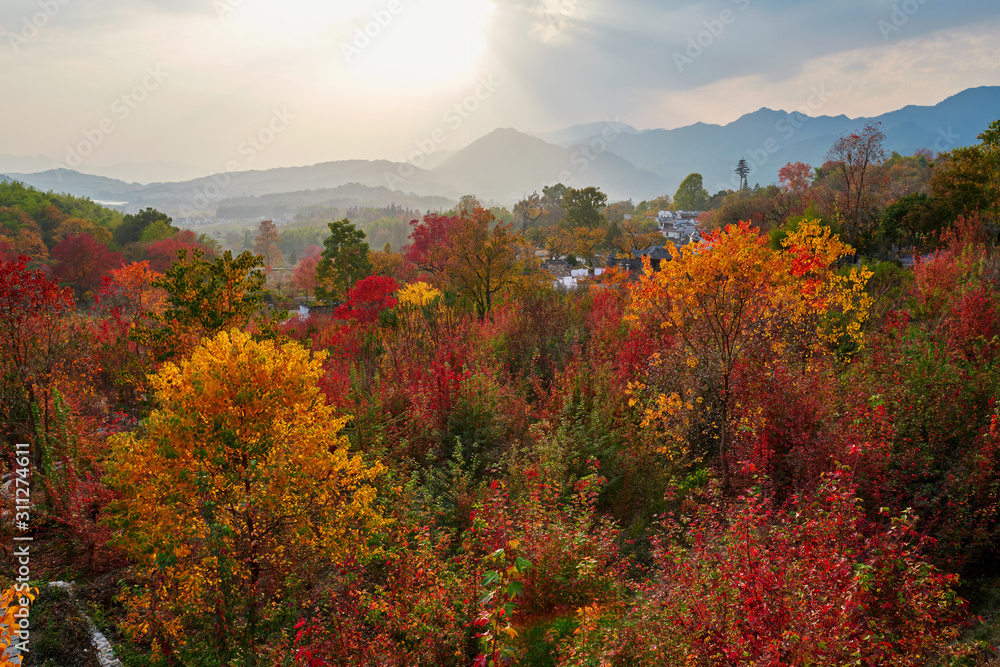 Tachuan village autumn landscape.