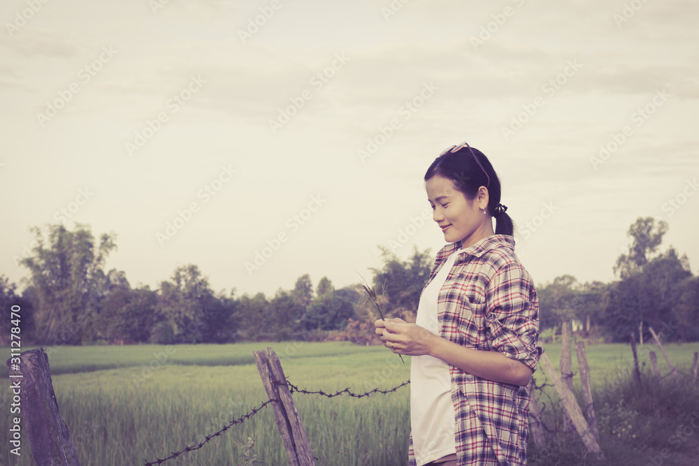 Happiness beautiful woman in field,soft focus. Happiness beautiful woman in field,soft focus.