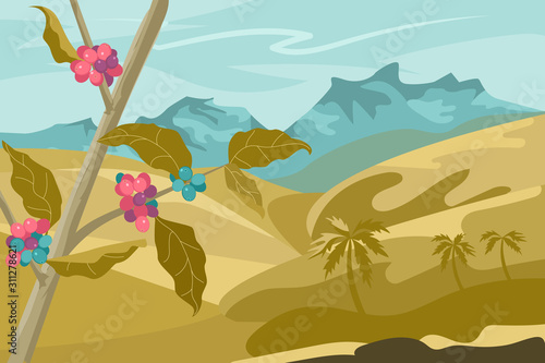 Coffee plantation landscape