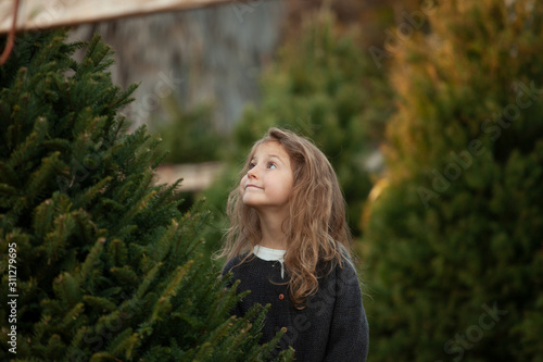 Picking Out The Christmas Tree