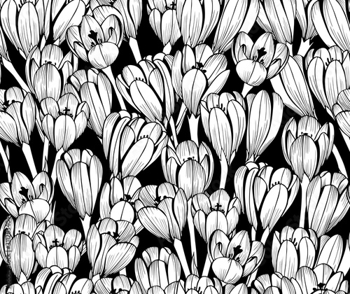 Monochrome seamless black floral vector pattern. Crocus flowers on a black background.