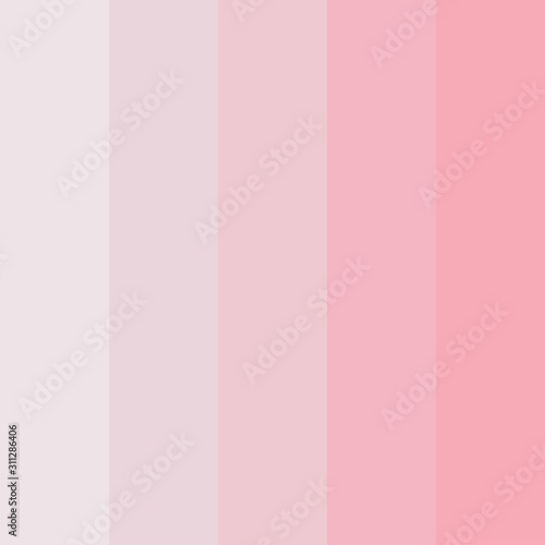 design Pinks color palette vector