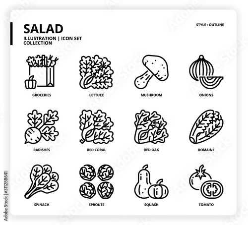 Salad icon set