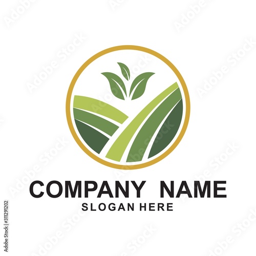 Agriculture Logo Template. Rice plants, and Wheat plants logo design.