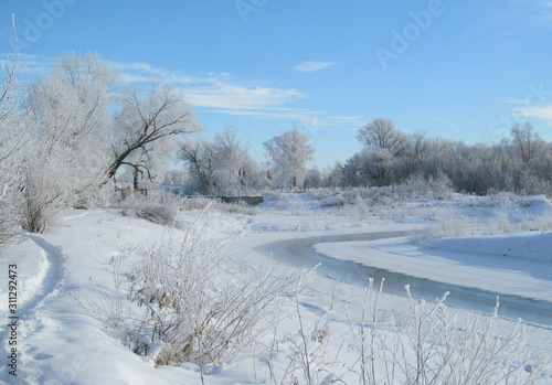 Winter frosty clear day. Bend of the river. Trees and bushes in the frost. © I_n_g_r_i_t