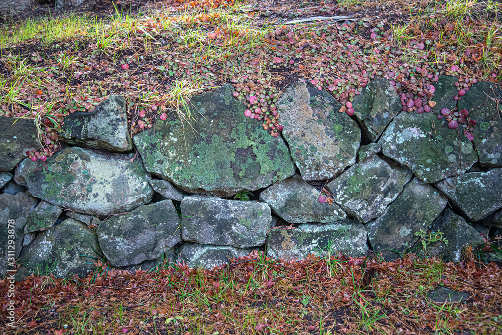 Fototapeta premium 石垣素材