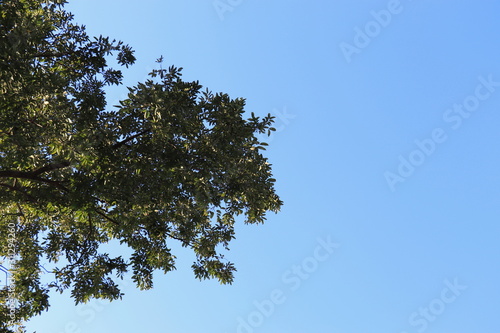 sky
