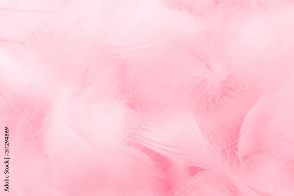 Fototapeta premium Beautiful abstract colorful white and pink feathers on white background and soft white red feather texture on pink pattern, pink background