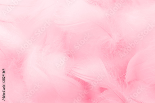 Beautiful abstract colorful white and pink feathers on white background and soft white red feather texture on pink pattern, pink background