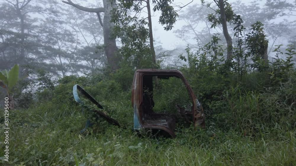 Approach a junk and abandoned vehicle in the middle of the jungle Approach a junk and abandoned vehicle in the middle of the jungle