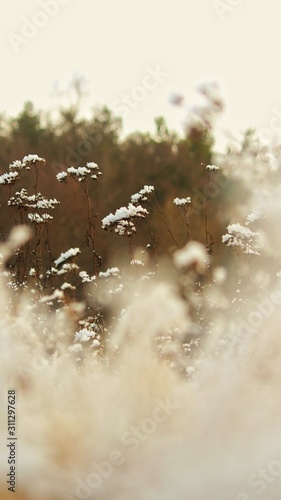 Photography of beautiful nature, landscape