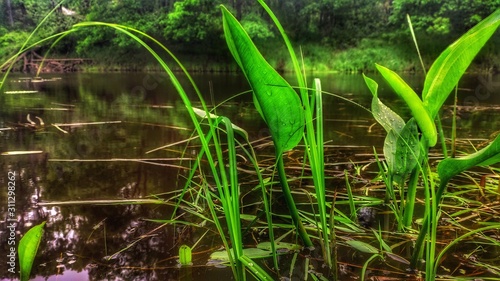 Photography of beautiful nature, landscape