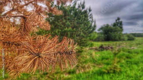Photography of beautiful nature, landscape