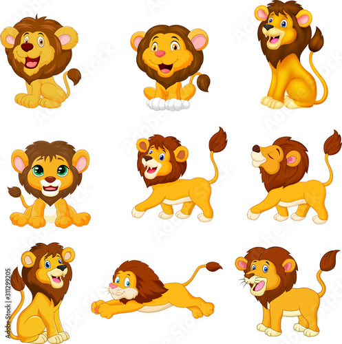 Cartoon lions collection set on white background