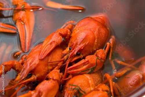 Crayfish boiled in a pan during cooking