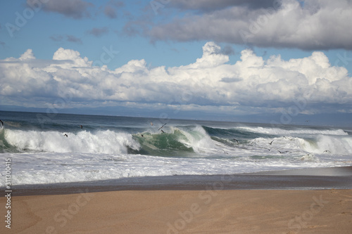 Green waves at Marina State Beach Monterey County California