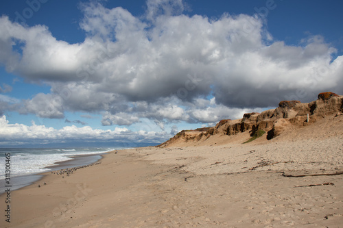 Sand dunes at Marina State Beach Monterey County California