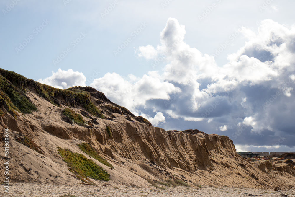 Sand dunes at Marina State Beach Monterey County California