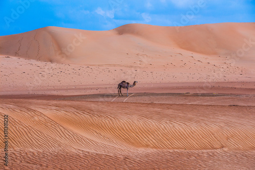 Wüste im Oman