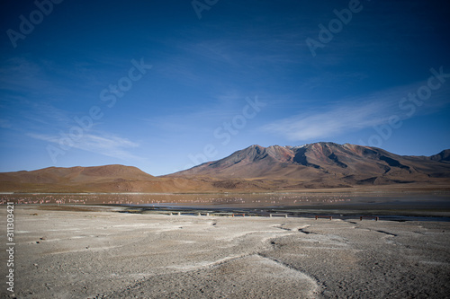 desert in jordan