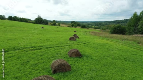 Video drone aerial view over rural landscape with hay rolls on growing green grass