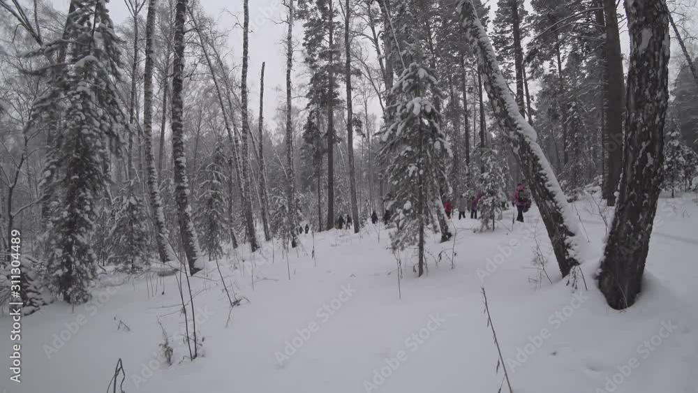 People in winter on a trail in the forest. Tourists chain follow each other along a snowy path among the trees. Concept of travel, adventure, hiking. People in winter on a trail in the forest. Tourists chain follow each other along a snowy path among the trees. Concept of travel, adventure, hiking.