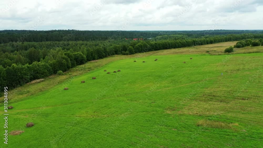 Video drone aerial view over rural landscape with hay rolls on growing green grass Video drone aerial view over rural landscape with hay rolls on growing green grass