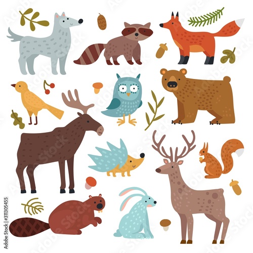 Forest animals. Wolf  raccoon and fox  bear and owl  deer  squirrel and hedgehog  hare and beaver  elk. Wildlife vector isolated set. Illustration wild collection characters  wolf and bear