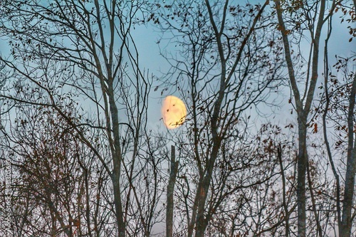 Photography of beautiful nature, landscape