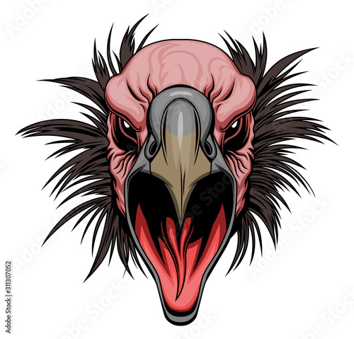 Vulture head
