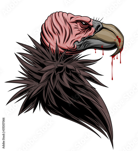 Vulture portrait