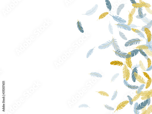 Fluffy twirled feathers on white design.