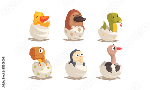 Cute Birds and Reptiles Hatching Vector Set. Cartoon New Born Creatures Collection