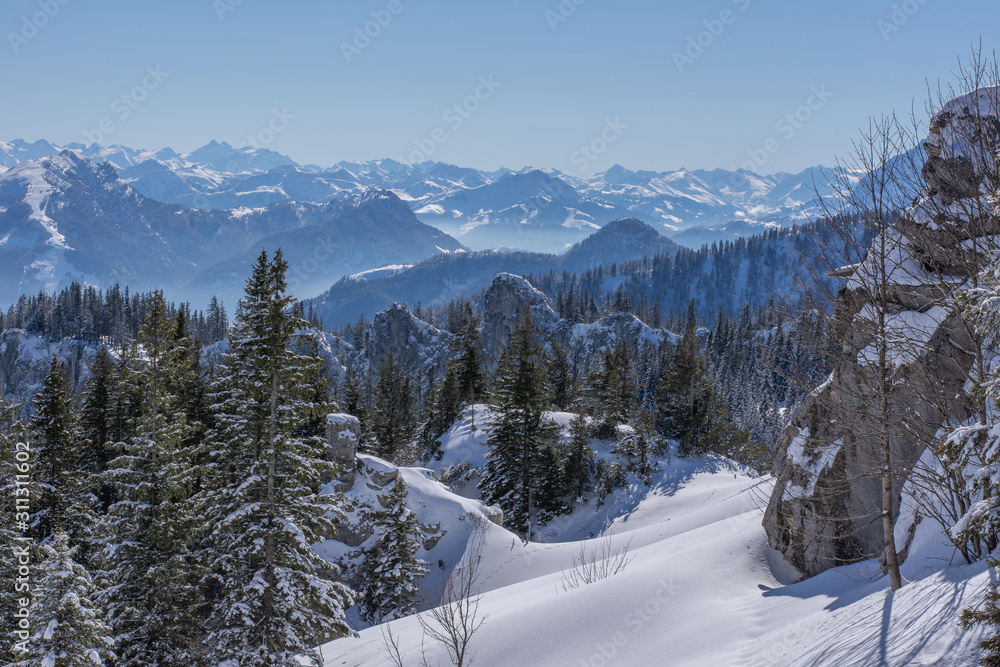 Berge und Wald im Schnee