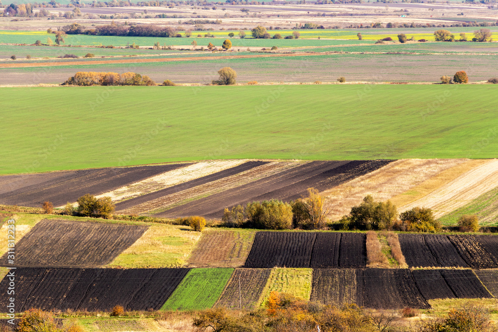 Fototapeta premium rural landscape with different fields