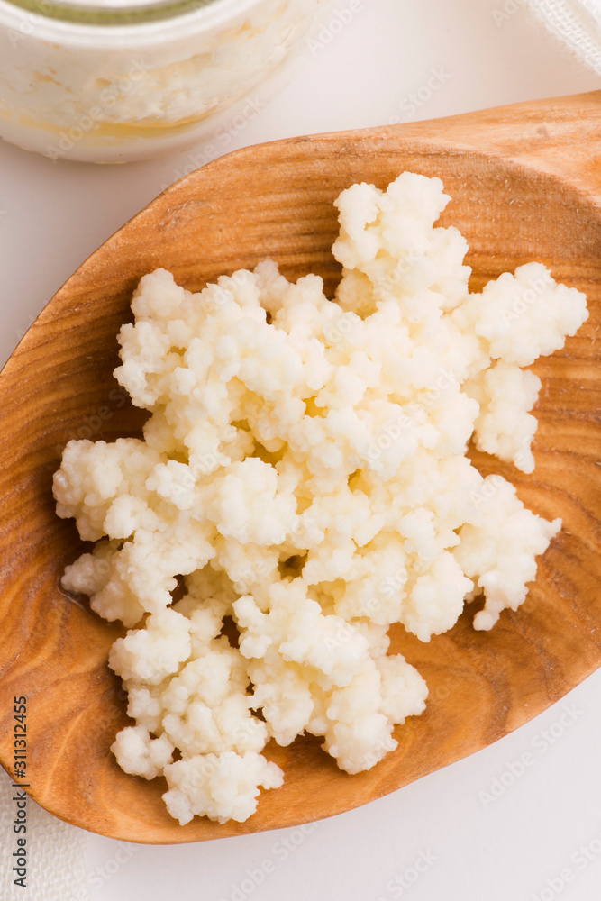Milk kefir grains in spoon. Yeast bacterial fermentation starter Milk kefir grains in spoon. Yeast bacterial fermentation starter