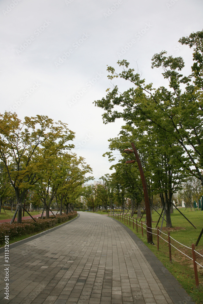 A leisurely park promenade. Busan citizens park.