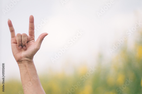 The girl raises her hand to signify a meaningful sign language. Tell your lover that I love you on a blurred background of nature.