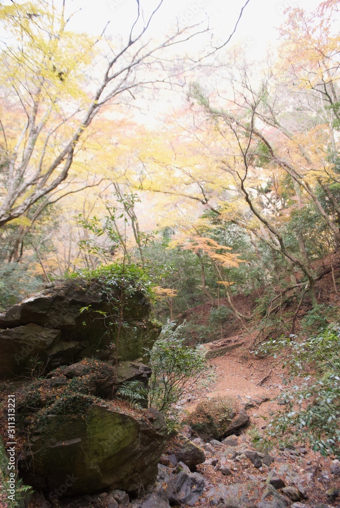 山の中の風景 山の中の風景