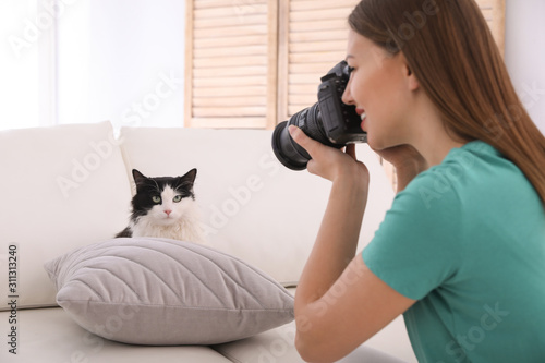 Professional animal photographer taking picture of beautiful cat at home