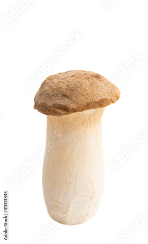 eryngi mushrooms isolated photo