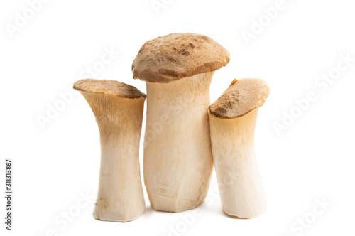 eryngi mushrooms isolated
