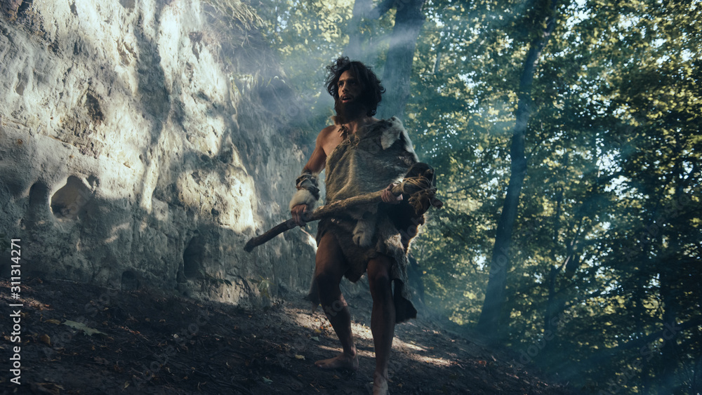 Primeval Caveman Wearing Animal Skin Holds Stone Tipped Hammer Comes ...