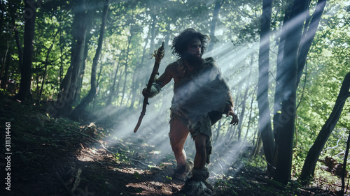 Primeval Caveman Wearing Animal Skin Holds Stone Tipped Spear Looks Around, Explores Prehistoric Forest in a Hunt for Animal Prey. Neanderthal Going Hunting in the Jungle photo