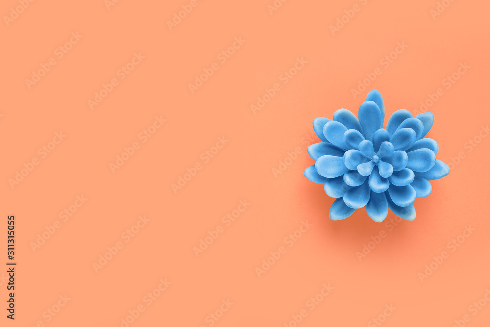 Obraz premium Decorative succulent on orange background, top view. Space for text