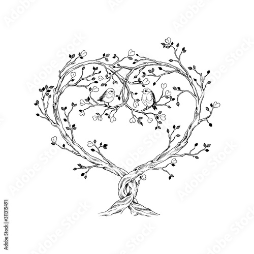 Trees intertwined in heart shape with birds, hand drawn illustration in vintage style.