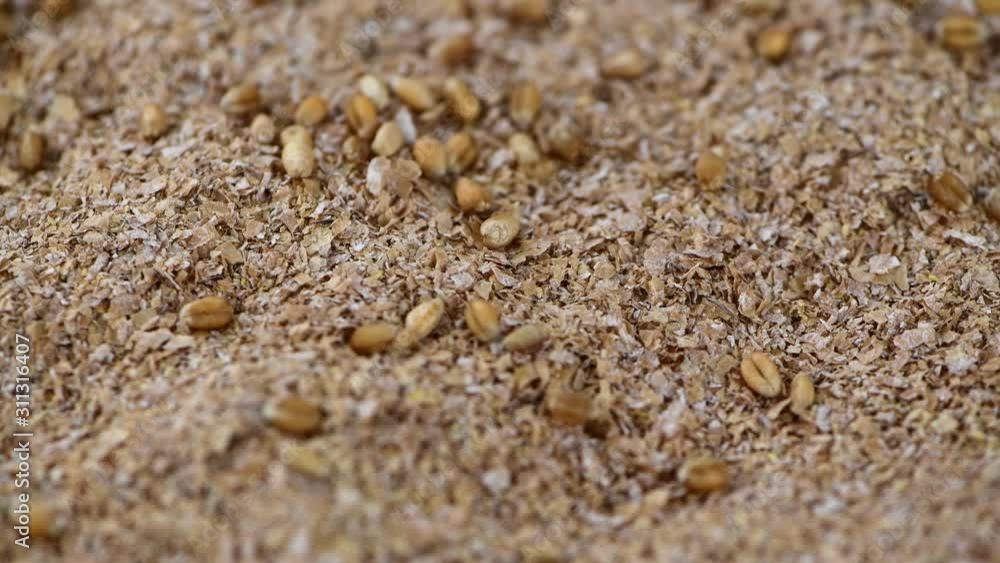 Portion of Wheat Bran (seamless loopable) Portion of Wheat Bran (seamless loopable)