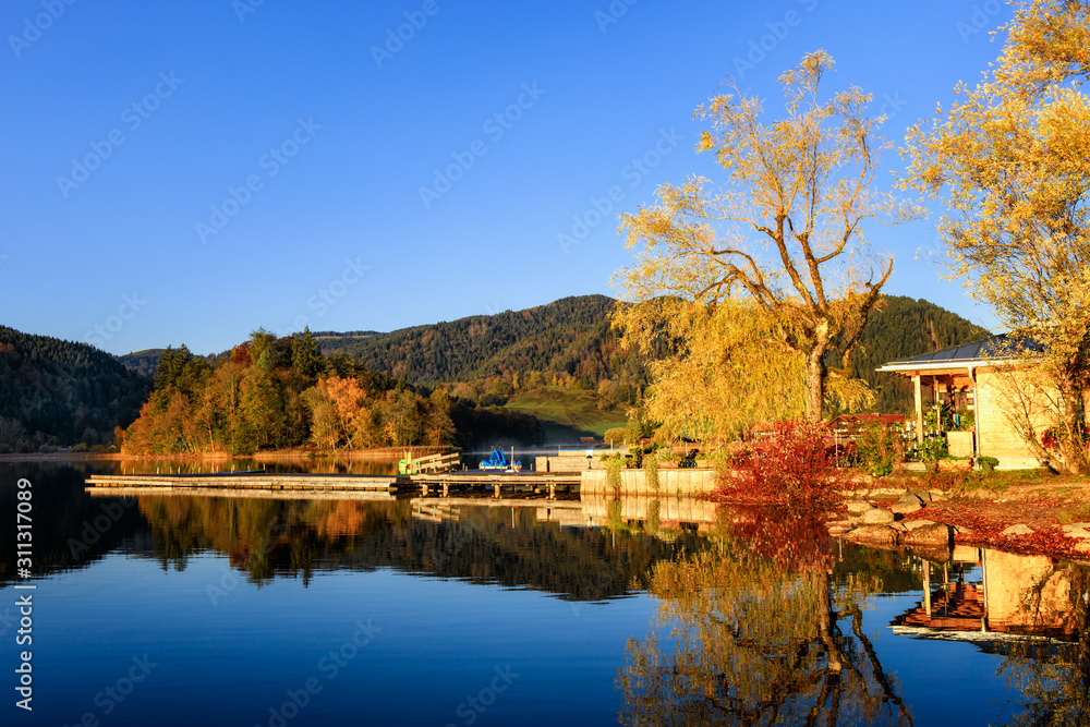 Obraz premium Golden Autumn